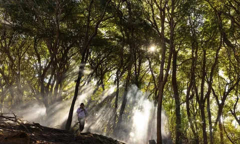 Cấm trekking tự phát một số đỉnh núi cao nhất Việt Nam