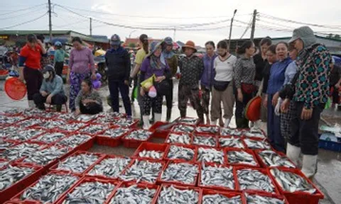 Du khách chen chân ‘săn’ hải sản tươi rói ở chợ cá nức tiếng Cửa Lò