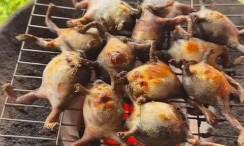 Đặc sản miền Trung có vẻ ngoài kỳ dị, được khen ngọt thơm hơn thịt gà
