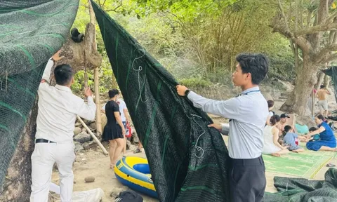 Đà Nẵng chấn chỉnh lều trại tự phát quanh bán đảo Sơn Trà