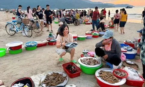Khách dậy từ 4h tới làng chài ở Đà Nẵng, chi vài triệu mua hải sản tươi ngon