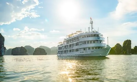 Halong bay cleanup 2026 - Lời hứa xanh với Vịnh Hạ Long từ Du thuyền Bhaya