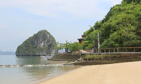 Chưa đón khách đến bãi biển kín tiếng 'đẹp nhất thế giới' ở Việt Nam