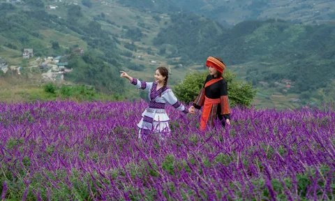 5 lý do khiến du khách muốn xách ba lô và đến Sa Pa