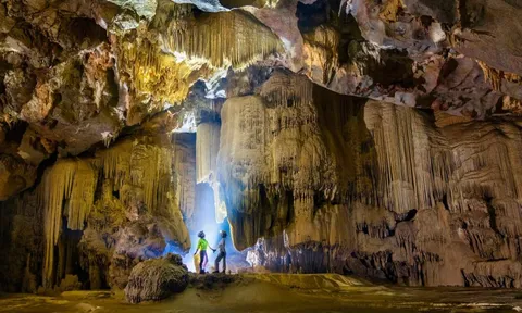 Phát hiện hang động 'cung điện thạch nhũ' ở Phong Nha - Kẻ Bàng