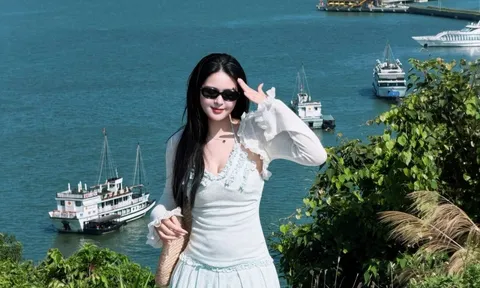 Đội nắng tìm sườn đồi ôm trọn cảnh bến cảng gây 'sốt' ở Hạ Long