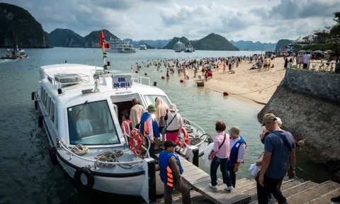 Quảng Ninh cấm biển, Cô Tô tạm dừng tham quan đảo vì bão Maysak