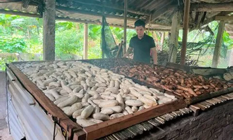 Đặc sản Tuyên Quang làm từ chuối gác bếp, vị ngọt thơm, để vài ngày vẫn mềm dẻo