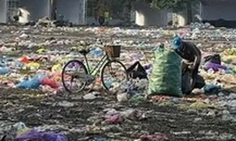'Những thành phố mơ màng' bị gọi là thảm họa, ban tổ chức xin lỗi, nhận trách nhiệm