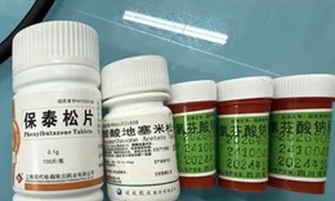 Suy thận, nguy kịch vì uống thuốc chứa Phenylbutazone trị đau khớp mua trên mạng
