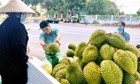 Hải quan 'lệnh' thông quan ngay sầu riêng, cấm gây khó doanh nghiệp