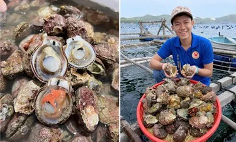 Sản vật có từ Nam ra Bắc, giá vài chục nghìn/kg, ăn ngọt ngon không kém tôm cua