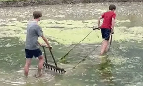 Khách Tây 'kéo cày thay trâu' trên ruộng bậc thang Sa Pa
