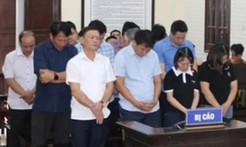 Cựu phó chủ tịch huyện cùng 11 thuộc cấp lãnh án tù vì cấp đất sai
