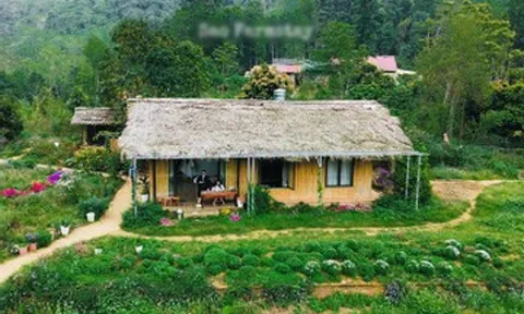 3 bản làng ở Tuyên Quang hút khách trốn nóng, có nơi biệt lập giữa rừng già