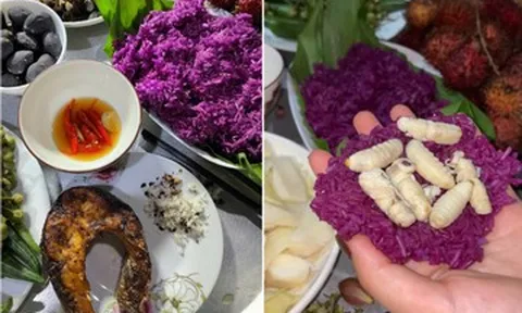 Món lạ từ sản vật rừng núi không phải ai cũng dám thử ở Tây Bắc, ăn dẻo bùi