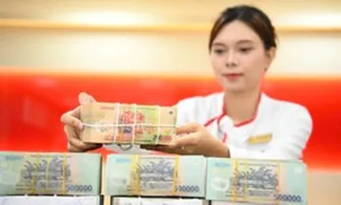 Một công ty được cấp hạn mức tín dụng 11.150 tỉ, mượn nhà đất của tổng giám đốc để thế chấp