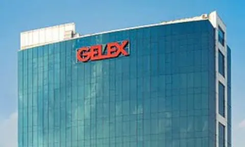 Cổ phiếu 'họ Gelex' đồng loạt giảm kịch sàn