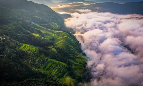 Cảnh gây sửng sốt ở Hoàng Su Phì mùa đẹp nhất năm