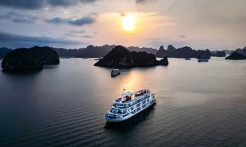 Hạ Long, Đà Nẵng và những điểm du lịch thường được chọn cho đám cưới