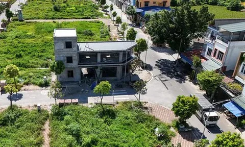Đề xuất đánh thuế đất bỏ hoang gấp 7 lần đất trong hạn mức
