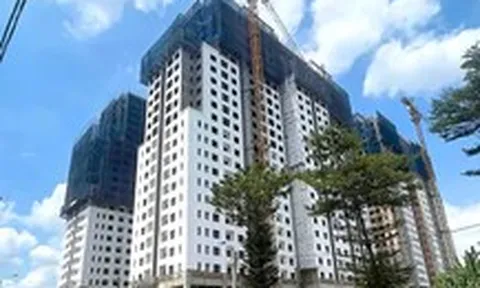 Chủ đầu tư bán 'chui' 682 căn hộ rồi ngưng thi công đang nợ thuế hơn 46 tỉ đồng