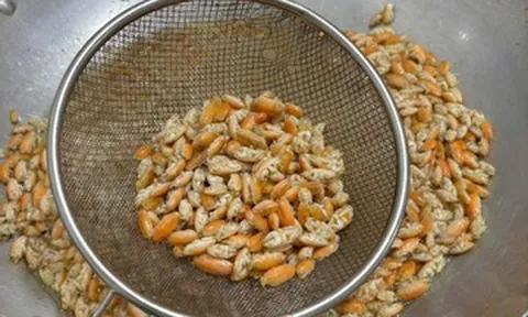 Đặc sản nào ở Phú Quốc 'chỉ lùi không tiến', nhìn giống dế nhưng vị như tôm?