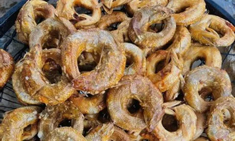 Loài cá 'miệng ngậm đuôi', vừa hấp vừa xông khói thành đặc sản nức tiếng xứ Nghệ