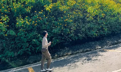 Ba Vì từ chối khách bốc đầu, đánh võng xe khi đi ngắm hoa dã quỳ