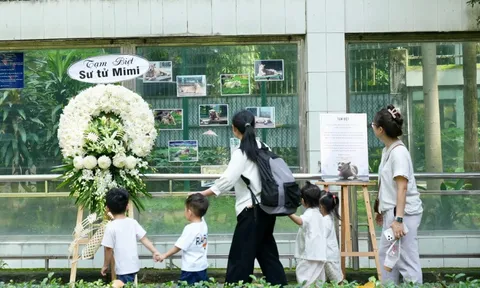 Ngậm ngùi chia tay sư tử trắng vừa qua đời ở Thảo Cầm Viên