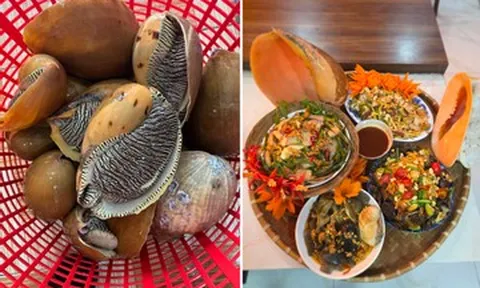 Loại ốc đặc sản ở miền Trung nửa giòn ngọt, nửa bùi ngậy, 1 con nấu được 3-4 món