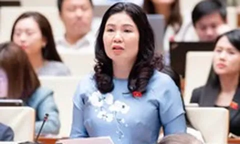 Đại biểu Quốc hội nêu chuyện quán lẩu gà bất ngờ nổi tiếng ở Trung Quốc để nói về phản ứng chính sách