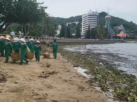 Giảm thiểu rác thải nhựa trong du lịch