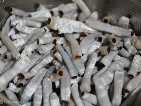 Cháo trùng biển trong hẻm nhỏ Sài Gòn