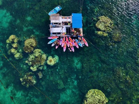 Chèo SUP và lặn ngắm san hô ở đảo Phú Quý