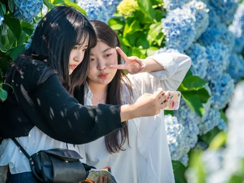 Chi phí du lịch Nhật Bản, Hàn Quốc, Đài Loan tăng cao