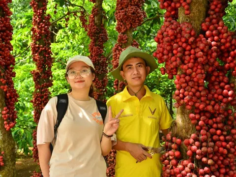 Đà Lạt thu nhỏ của xứ nẫu