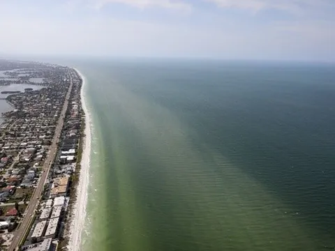 Thủy triều đỏ bùng phát trên bờ biển Mỹ