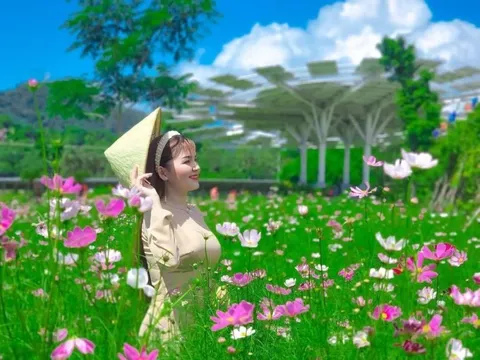 Tham quan cánh đồng điện mặt trời với giá giảm đến 30%