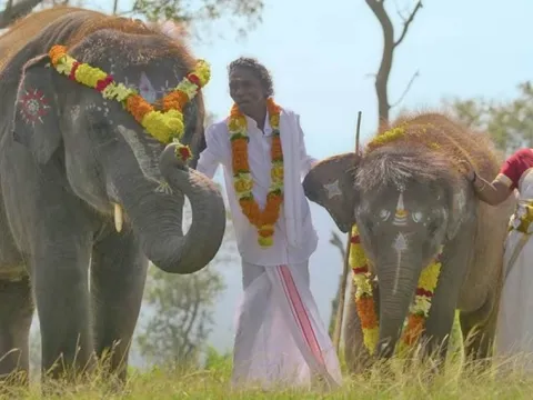 Trại voi Ấn Độ hút khách sau chiến thắng tại giải Oscar