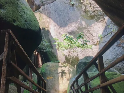 Vẻ đẹp đồi Tức Dụp tháng ba