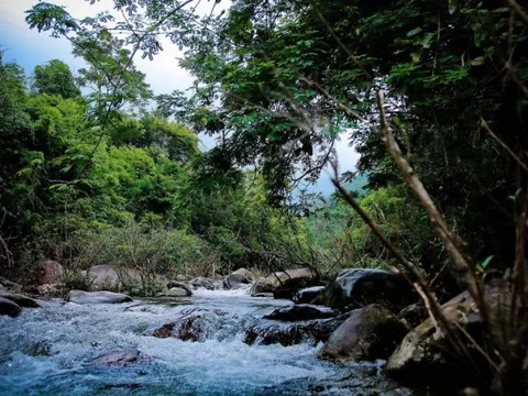 Các trải nghiệm ở Vườn Quốc gia Tam Đảo