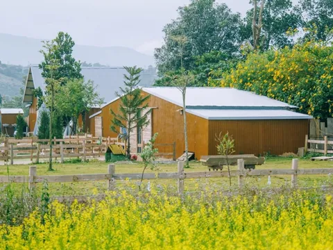 Điểm đến thiên nhiên lên ngôi tại Đà Lạt