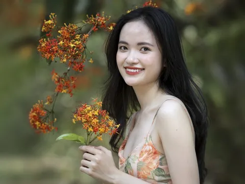 Hoa vàng anh khoe sắc ở vườn quốc gia Phong Nha - Kẻ Bàng