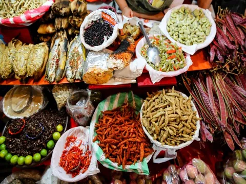 Khu chợ ẩm thực lớn nhất Mexico