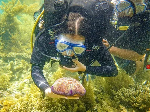 Bình Định xây dựng điểm đến văn minh, thân thiện hấp dẫn du khách