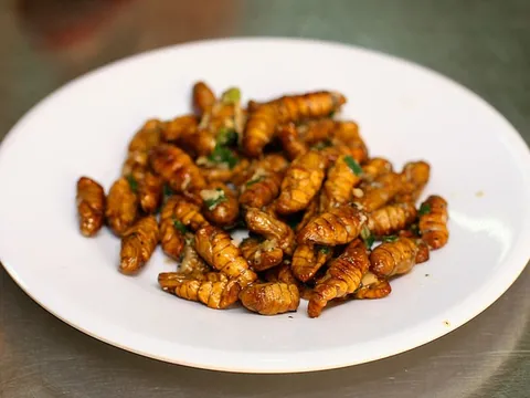 Tranh cãi món ăn côn trùng ở Singapore