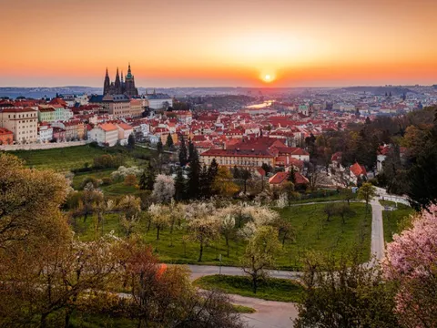 Mùa hoa anh đào ở thủ đô Praha