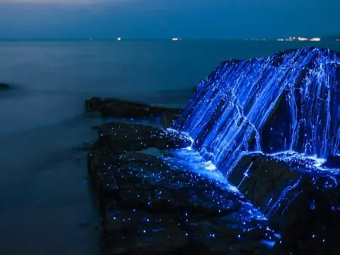 5 bãi biển rực sáng về đêm