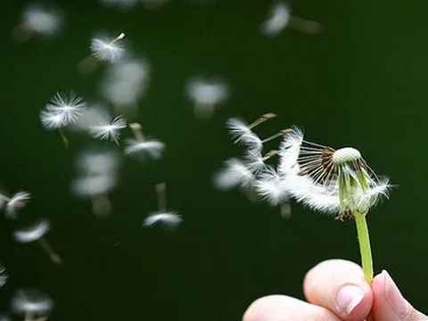 Nói lời, phải giữ lấy lời